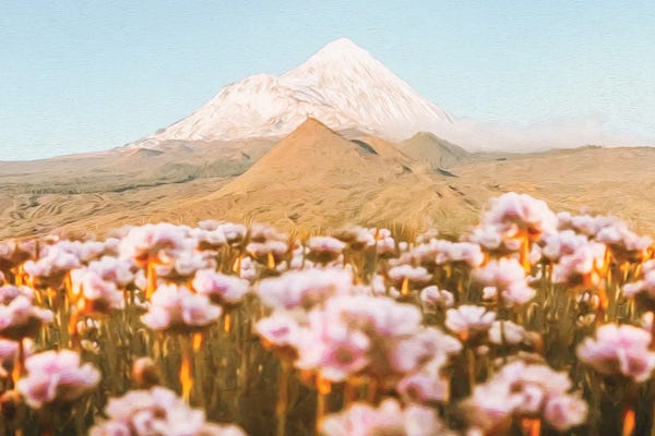 Ievgeniia Bidiuk: Blooming Meadow Against The Backdrop Of A Mountain Volcano by Ievgeniia Bidiuk