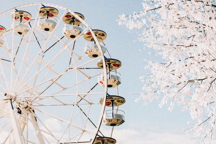 Blooming Cherry On The Background Of The Ferris Wheel In Spring