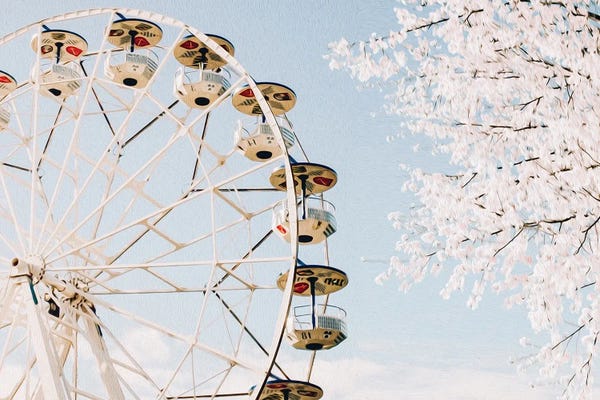 Ievgeniia Bidiuk: Blooming Cherry On The Background Of The Ferris Wheel In Spring by Ievgeniia Bidiuk