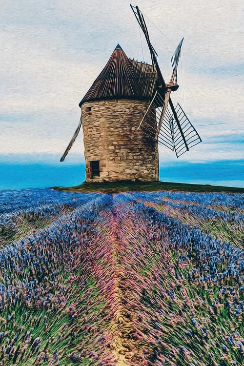 Blooming Lavender Field Against The Background Of The Old Mill