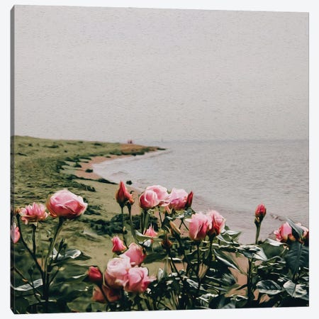 A Bush Of Pink Roses Growing On The Seashore Canvas Print #IVG320} by Ievgeniia Bidiuk Canvas Art Print