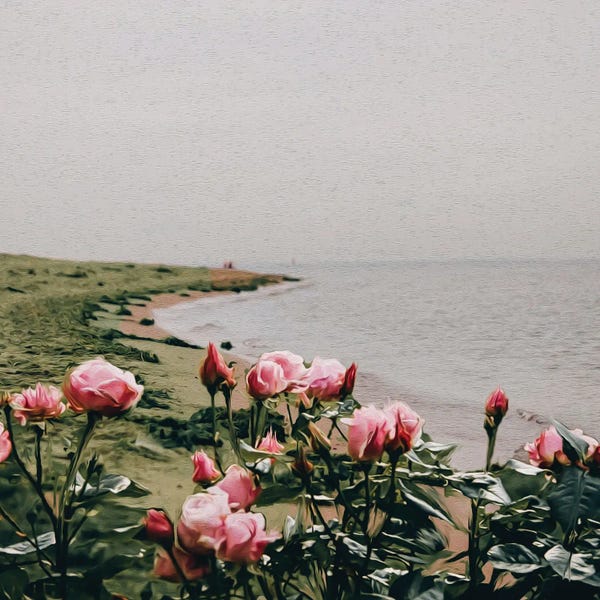 Ievgeniia Bidiuk: A Bush Of Pink Roses Growing On The Seashore by Ievgeniia Bidiuk