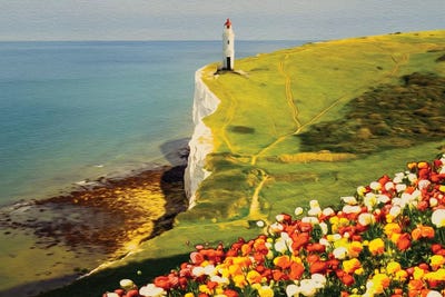 Blooming Ranunculus On The Background Of A Hill With A Lighthouse by Ievgeniia Bidiuk canvas print