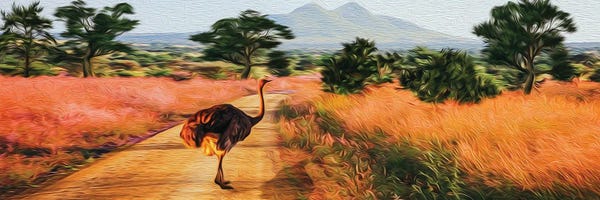 Ievgeniia Bidiuk: African Ostrich In The Wild by Ievgeniia Bidiuk