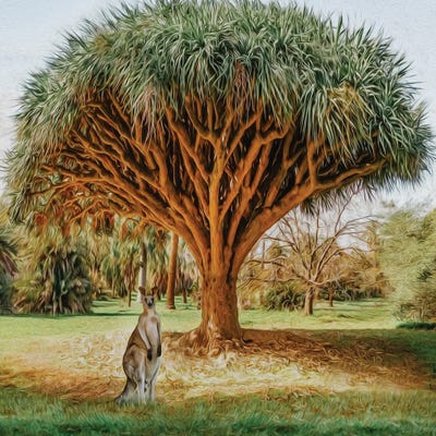 Kangaroo Under The Dragon Tree by Ievgeniia Bidiuk canvas print