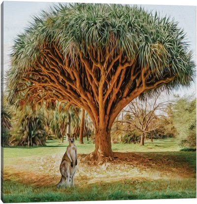 Kangaroo Under The Dragon Tree Canvas Art Print - Kangaroo Art