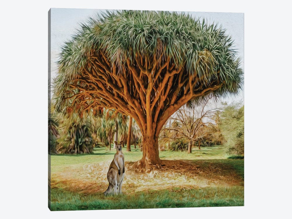 Kangaroo Under The Dragon Tree by Ievgeniia Bidiuk 1-piece Canvas Wall Art