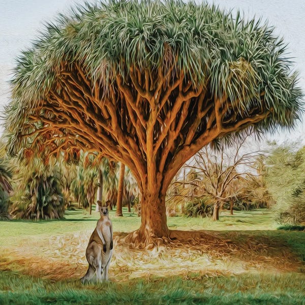 Kangaroos: Kangaroo Under The Dragon Tree by Ievgeniia Bidiuk