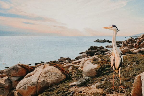 Ievgeniia Bidiuk: Egret by Ievgeniia Bidiuk