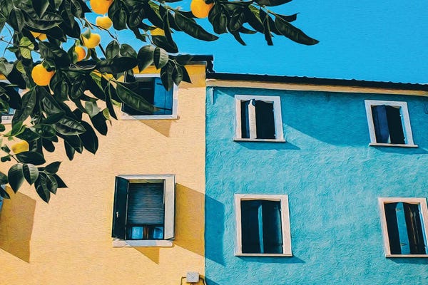 Ievgeniia Bidiuk: A branch With Ripe Oranges Against by Ievgeniia Bidiuk
