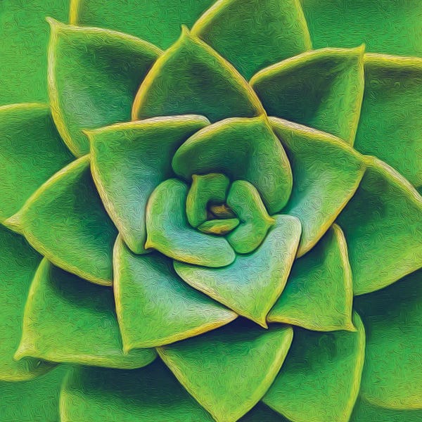 Ievgeniia Bidiuk: Bright Green Succulent by Ievgeniia Bidiuk