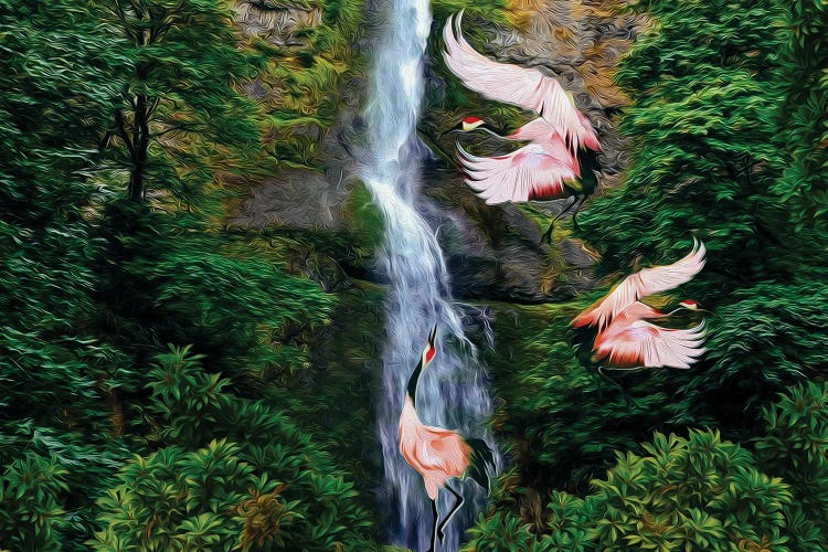 Pink Herons Near The Waterfall