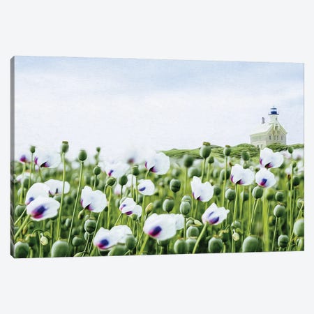 A Field Of Blooming White Poppies Canvas Print #IVG336} by Ievgeniia Bidiuk Canvas Art Print