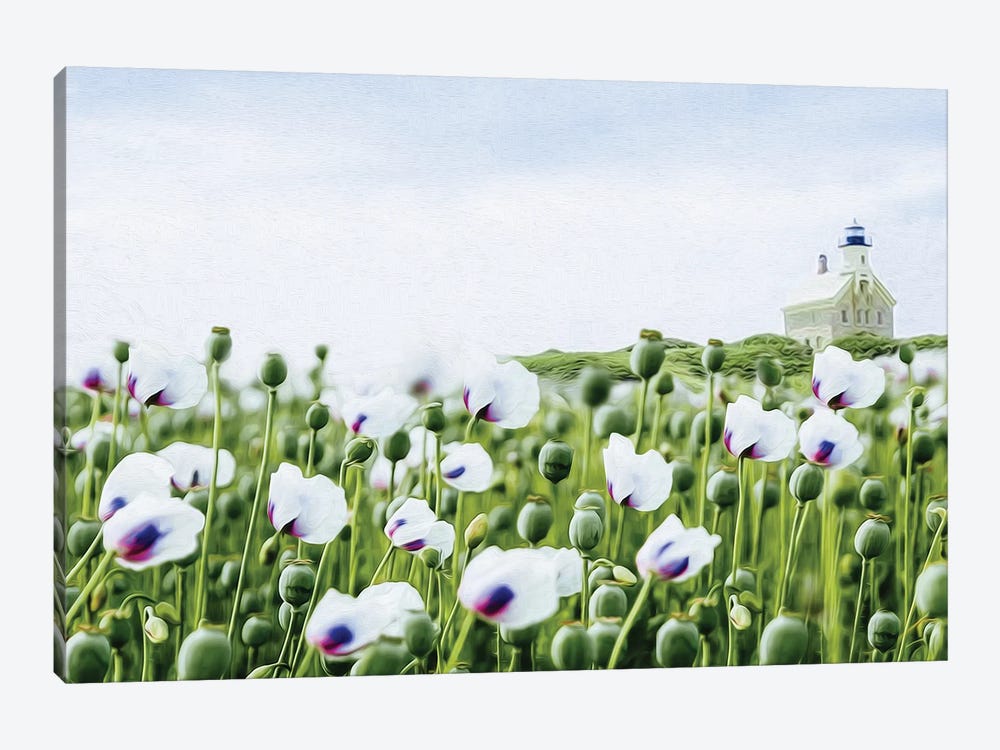A Field Of Blooming White Poppies by Ievgeniia Bidiuk 1-piece Canvas Art Print
