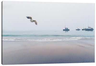 Seashore, Seagull And Yachts Canvas Art Print - Yacht Art