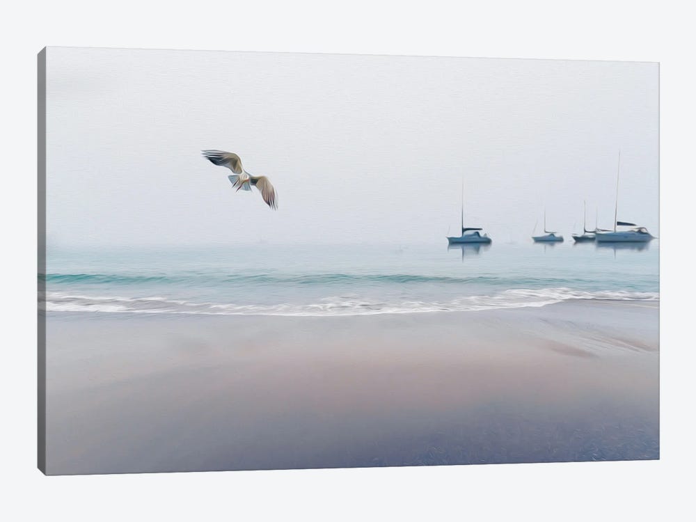 Seashore, Seagull And Yachts by Ievgeniia Bidiuk 1-piece Art Print