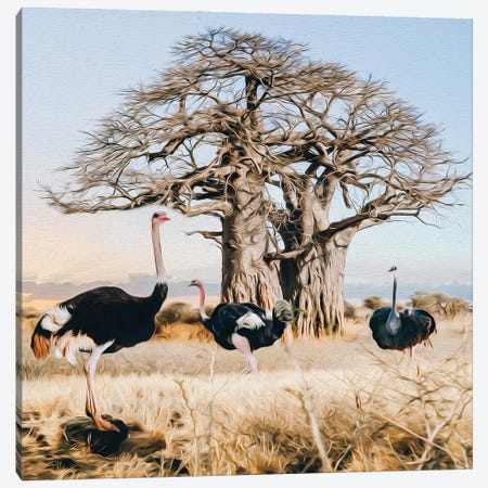 Ostriches Of The Wild African Nature Canvas Print #IVG339} by Ievgeniia Bidiuk Canvas Wall Art