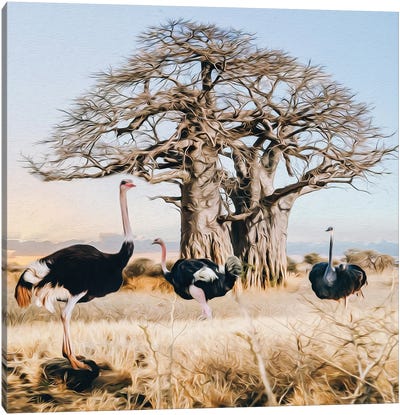 Ostriches Of The Wild African Nature Canvas Art Print - Ostrich Art