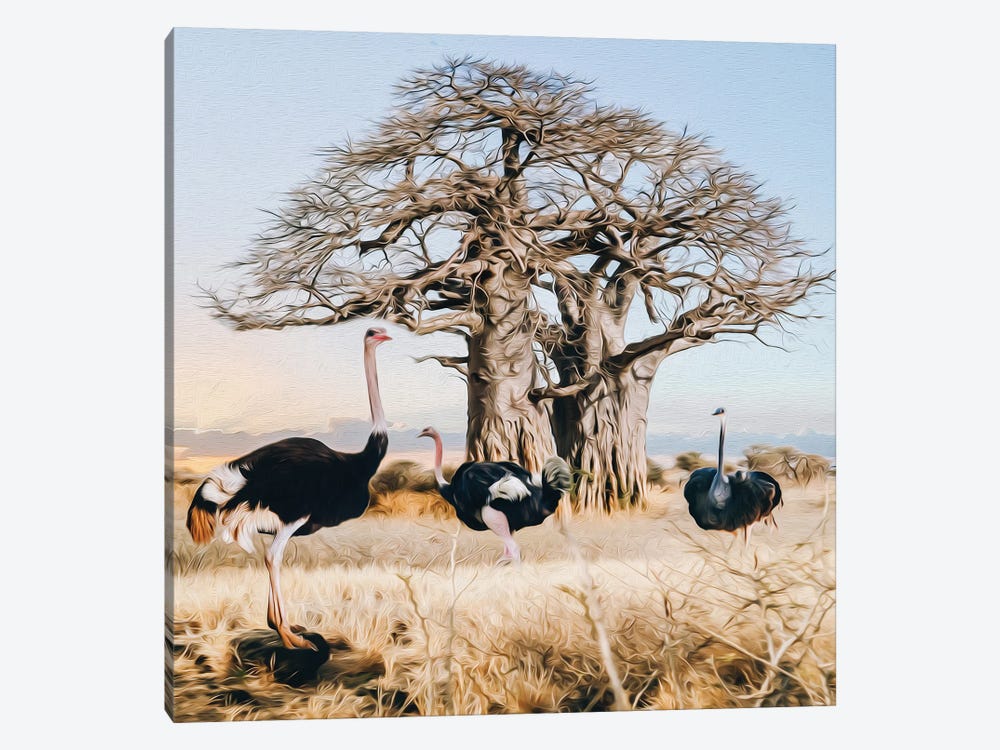 Ostriches Of The Wild African Nature by Ievgeniia Bidiuk 1-piece Canvas Art