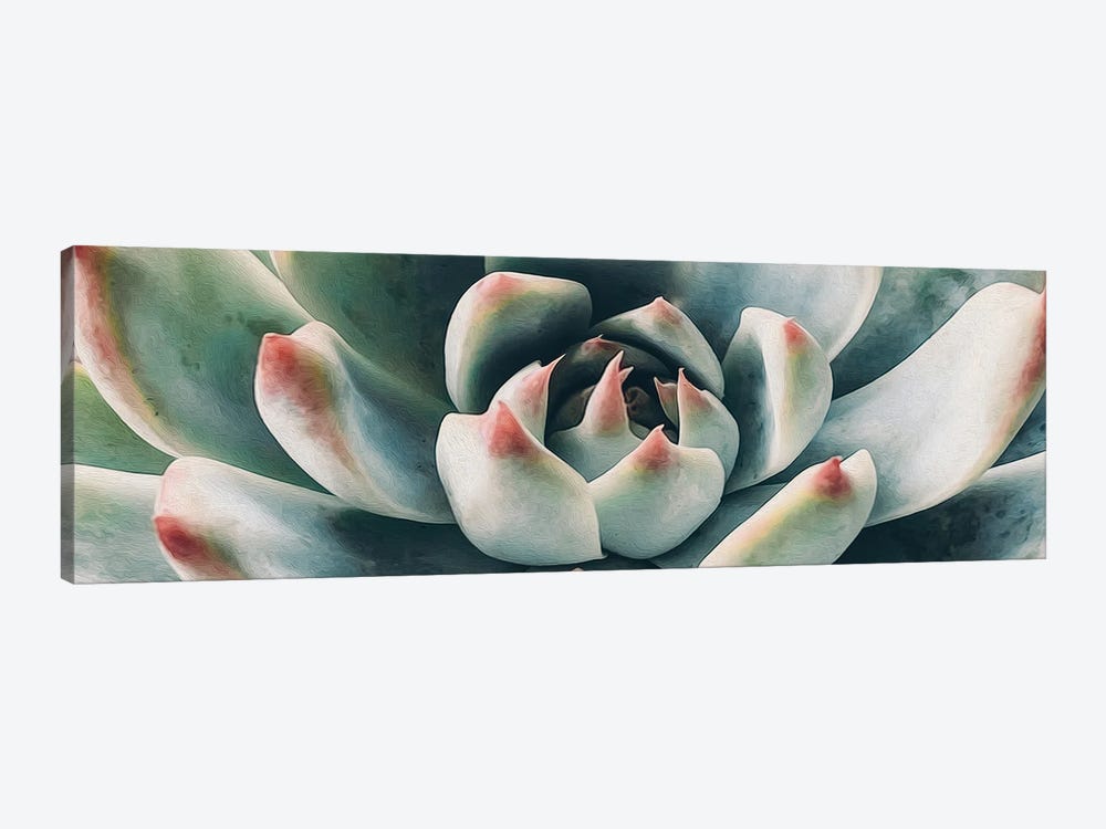 Succulent Plant by Ievgeniia Bidiuk 1-piece Canvas Print