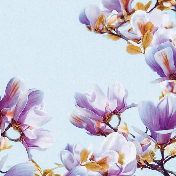 Magnolias: Magnolia by Ievgeniia Bidiuk