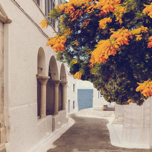 Ievgeniia Bidiuk: Blooming Mimosa Against by Ievgeniia Bidiuk