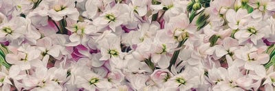 Delphinium Flowers Background by Ievgeniia Bidiuk multi panel art