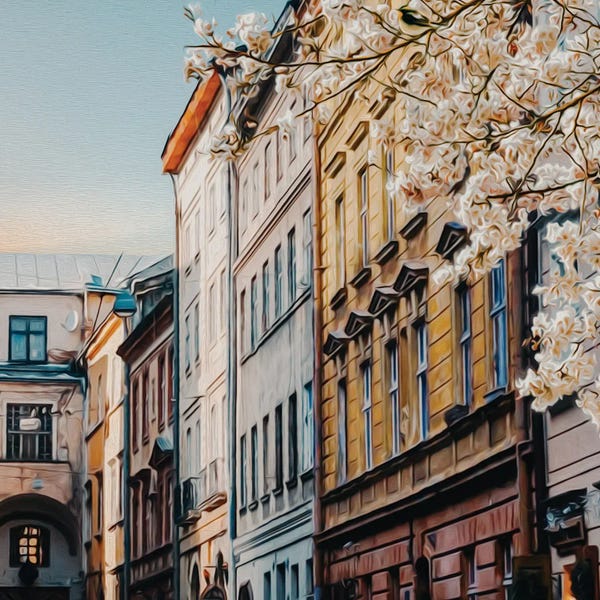 Ievgeniia Bidiuk: Blooming Cherry On The Street Of The Old City by Ievgeniia Bidiuk