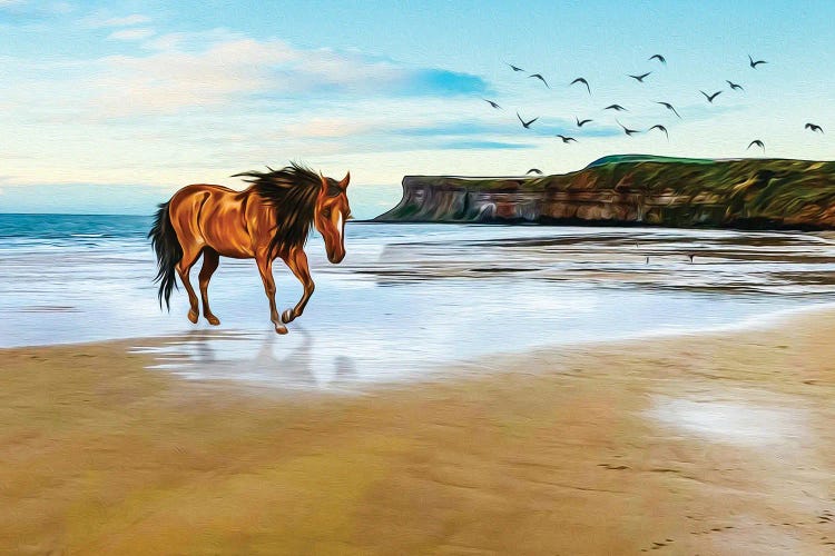 Horse Running Along The Ocean Coast