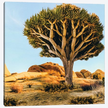 Large Dichotoma Tree In The Desert Canvas Print #IVG373} by Ievgeniia Bidiuk Canvas Artwork