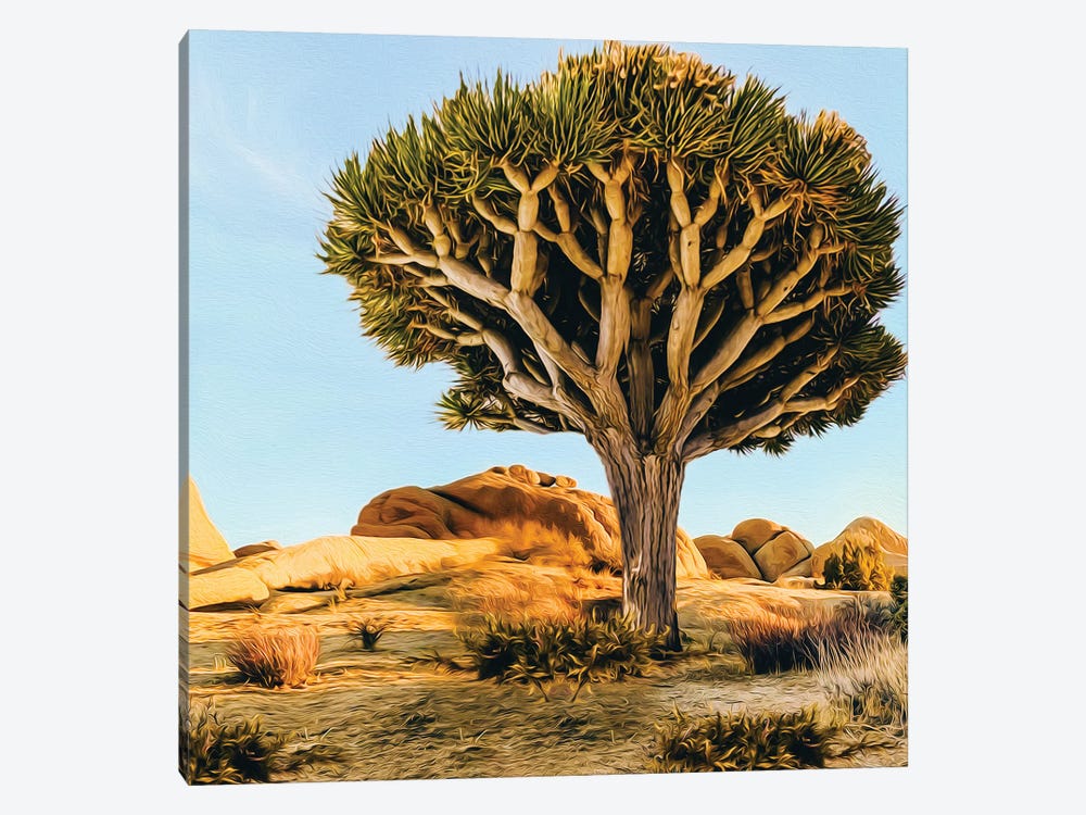 Large Dichotoma Tree In The Desert by Ievgeniia Bidiuk 1-piece Canvas Wall Art