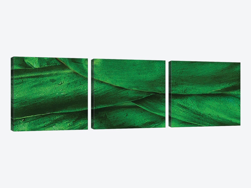Background From Green Leaves Of Corn by Ievgeniia Bidiuk 3-piece Canvas Art Print