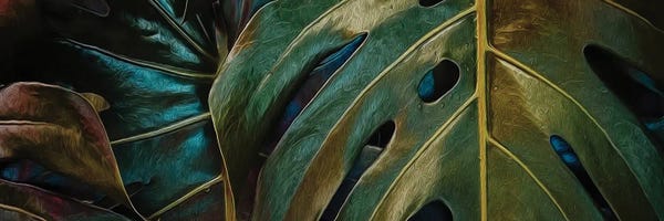 Ievgeniia Bidiuk: Background From Monstera Leaves by Ievgeniia Bidiuk