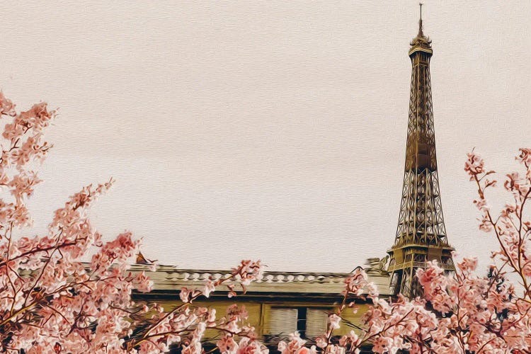 Branches Of Blossoming Sakura On The Background Of Paris