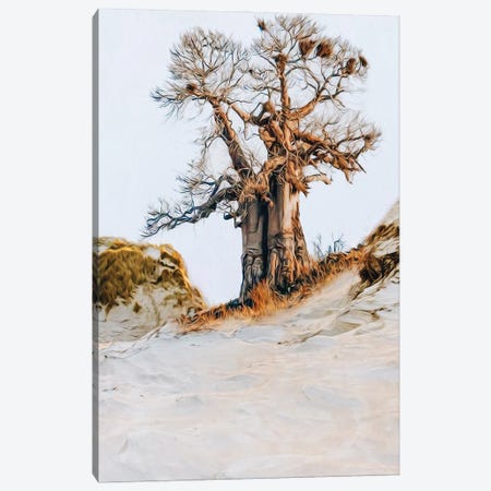 Baobab In The Desert Canvas Print #IVG384} by Ievgeniia Bidiuk Canvas Artwork