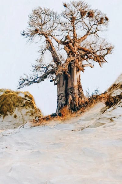 Ievgeniia Bidiuk: Baobab In The Desert by Ievgeniia Bidiuk