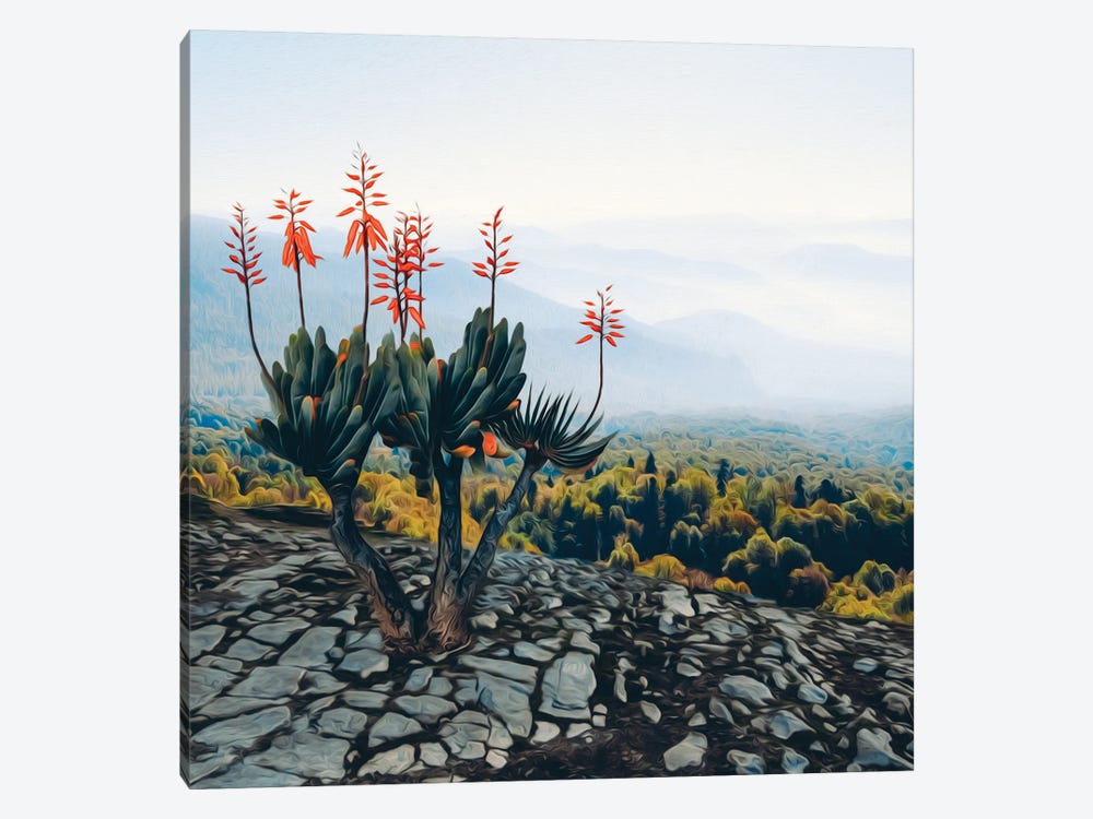 Scarlet Blossom On The Hill by Ievgeniia Bidiuk 1-piece Canvas Print
