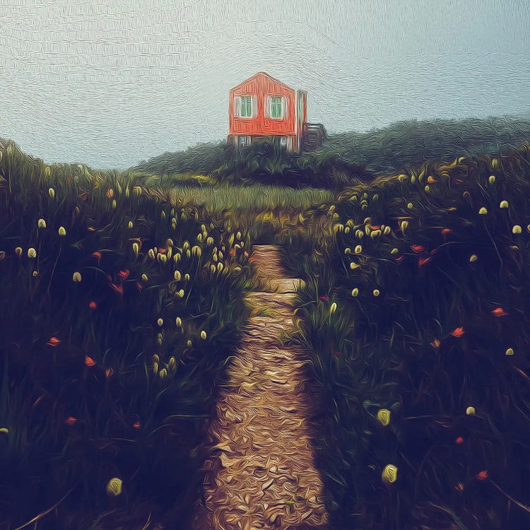 Path To A Small House In The Fog