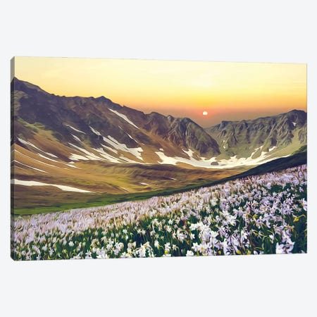 A Flower Meadow With A Mountainous Backdrop Canvas Print #IVG408} by Ievgeniia Bidiuk Canvas Art