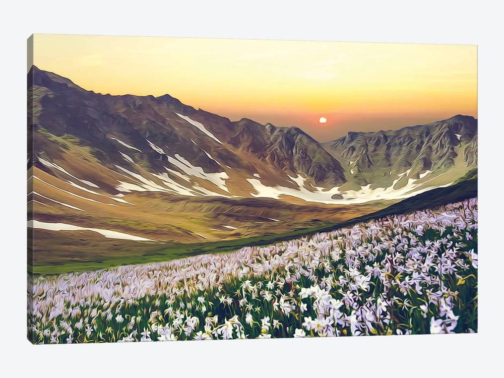 A Flower Meadow With A Mountainous Backdrop by Ievgeniia Bidiuk 1-piece Canvas Art Print