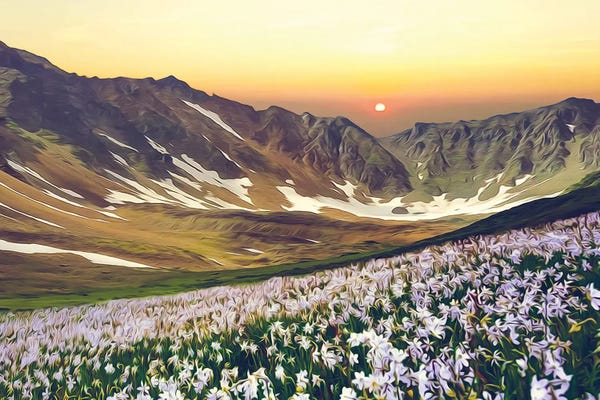Ievgeniia Bidiuk: A Flower Meadow With A Mountainous Backdrop by Ievgeniia Bidiuk
