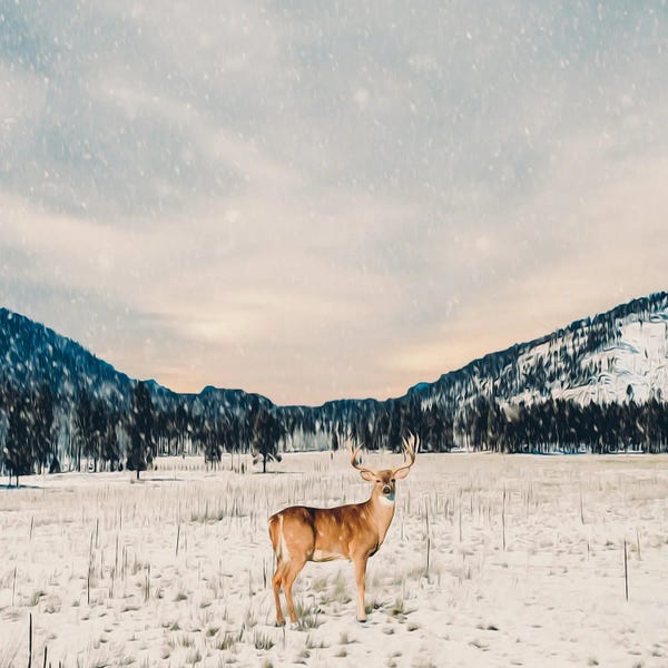 Snow: A Deer On A Wasteland Against A Forest Backdrop by Ievgeniia Bidiuk