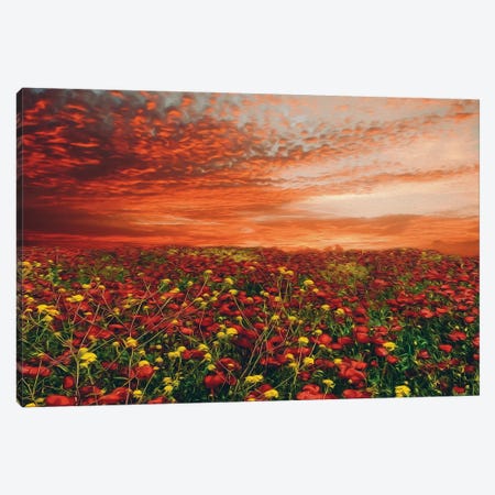 Wild Flowers Against The Backdrop Of A Fiery Sunset Canvas Print #IVG415} by Ievgeniia Bidiuk Canvas Artwork