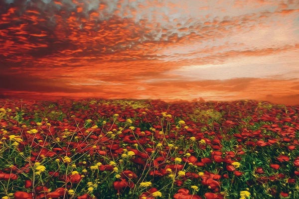 Ievgeniia Bidiuk: Wild Flowers Against The Backdrop Of A Fiery Sunset by Ievgeniia Bidiuk