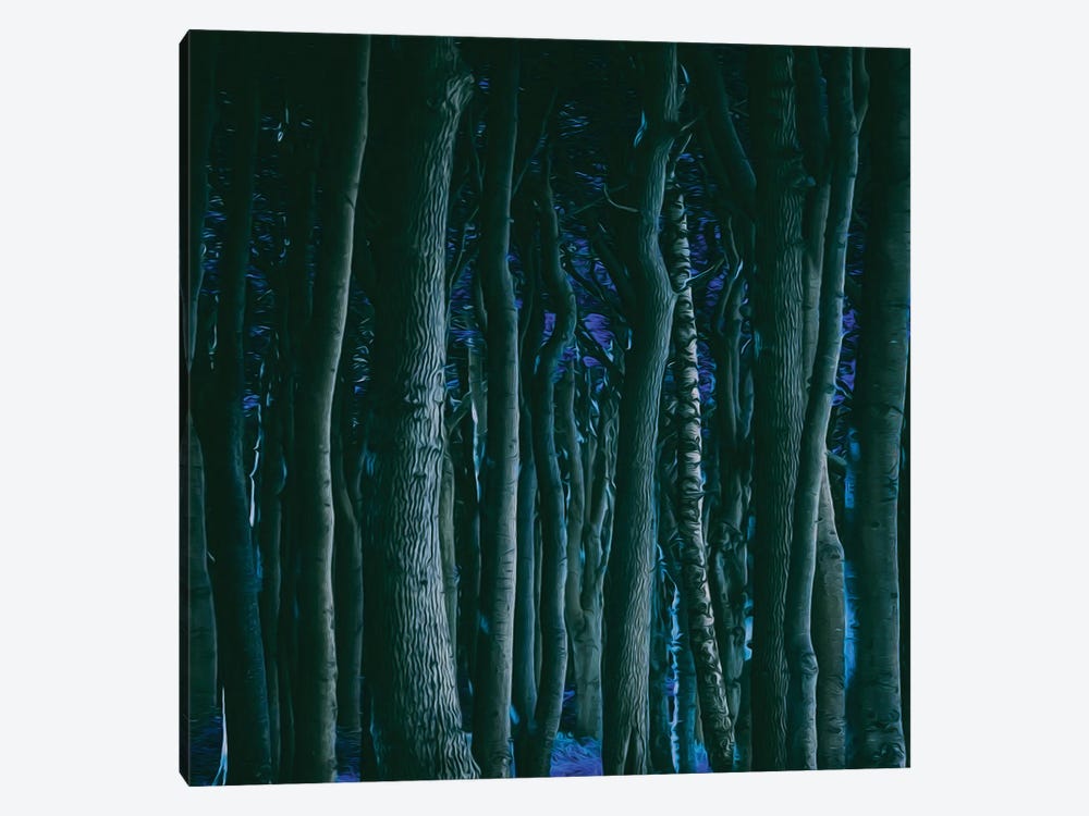 Night Forest by Ievgeniia Bidiuk 1-piece Canvas Art