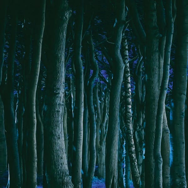 Ievgeniia Bidiuk: Night Forest by Ievgeniia Bidiuk