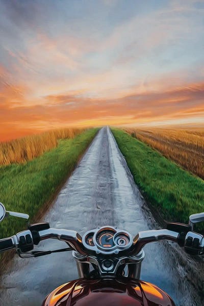 Ievgeniia Bidiuk: View From Motorcycle Driver Perspective In Sunset by Ievgeniia Bidiuk
