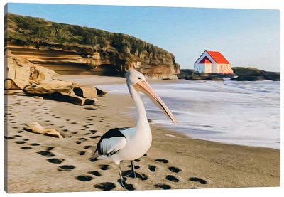Pelican On The Beach Canvas Art Print - Pelican Art