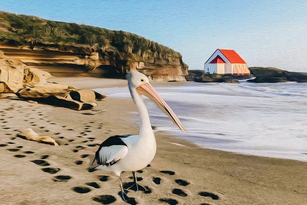 Ievgeniia Bidiuk: Pelican On The Beach by Ievgeniia Bidiuk