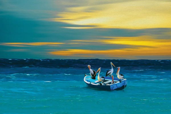 Ievgeniia Bidiuk: Pelicans Floating In A Boat On The Ocean by Ievgeniia Bidiuk